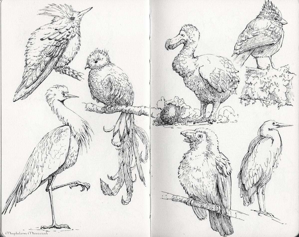 Feathers